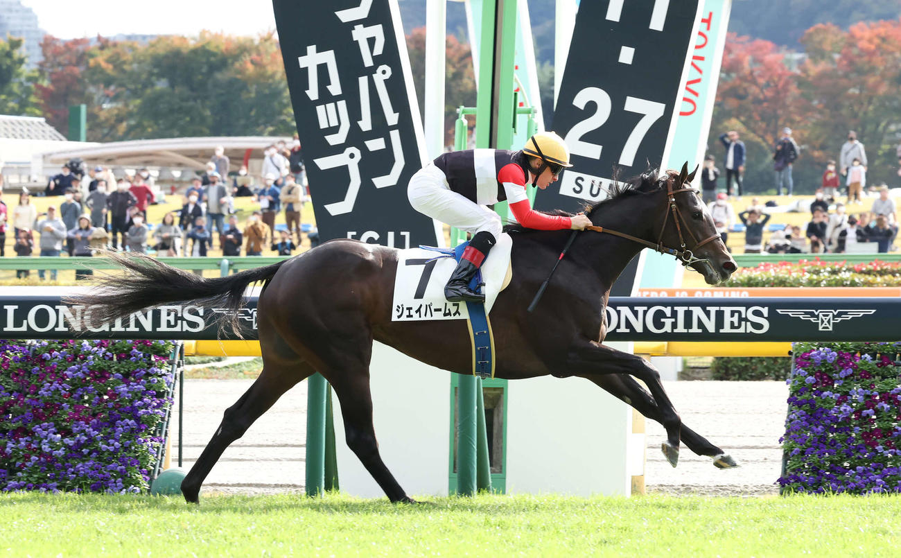 東京6R、2歳新馬戦を制したジェイパームスとルメール騎手（撮影・丹羽敏通）