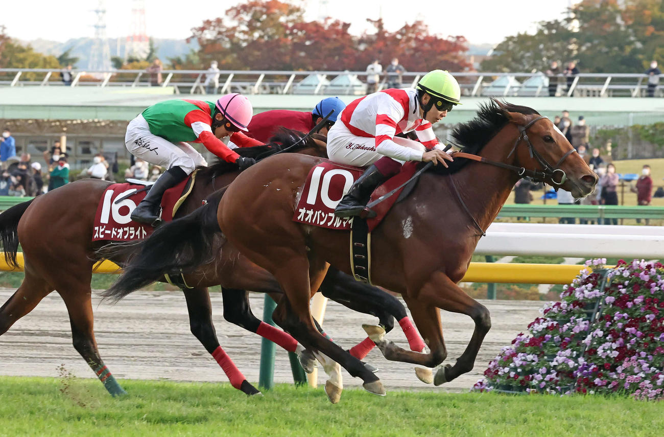 京王杯2歳Sを制したオオバンブルマイと横山武騎手（撮影・丹羽敏通）