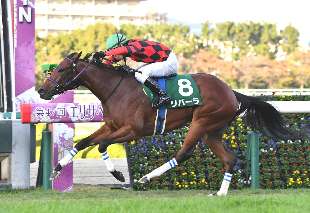 ファンタジーSを制したリバーラと石橋脩騎手（撮影・岩下翔太）