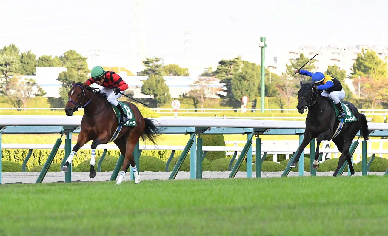 ファンタジーS、1着のリバーラと石橋脩騎手（撮影・岩下翔太）