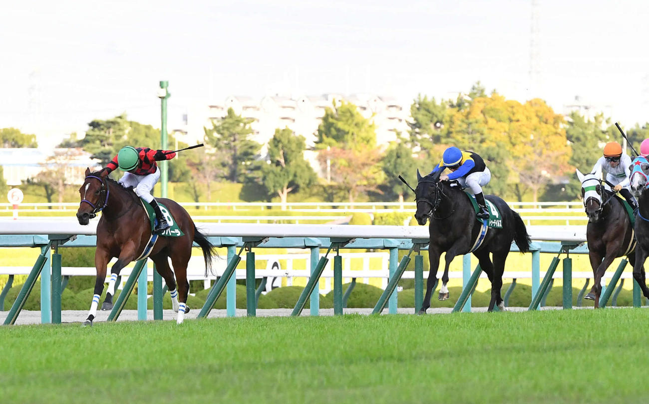 逃げ切ってファンタジーSを制したリバーラ（左）と石橋騎手（撮影・岩下翔太）