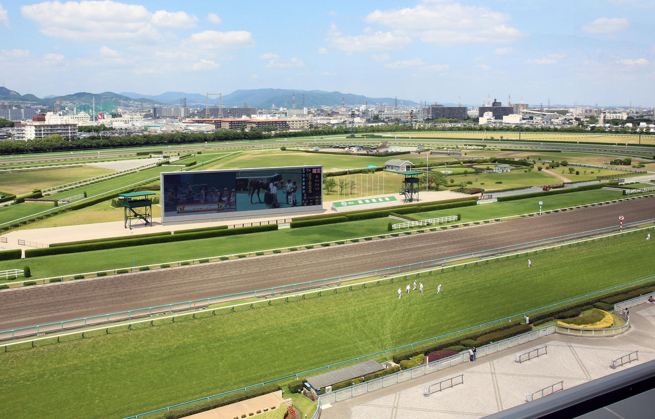 阪神競馬場