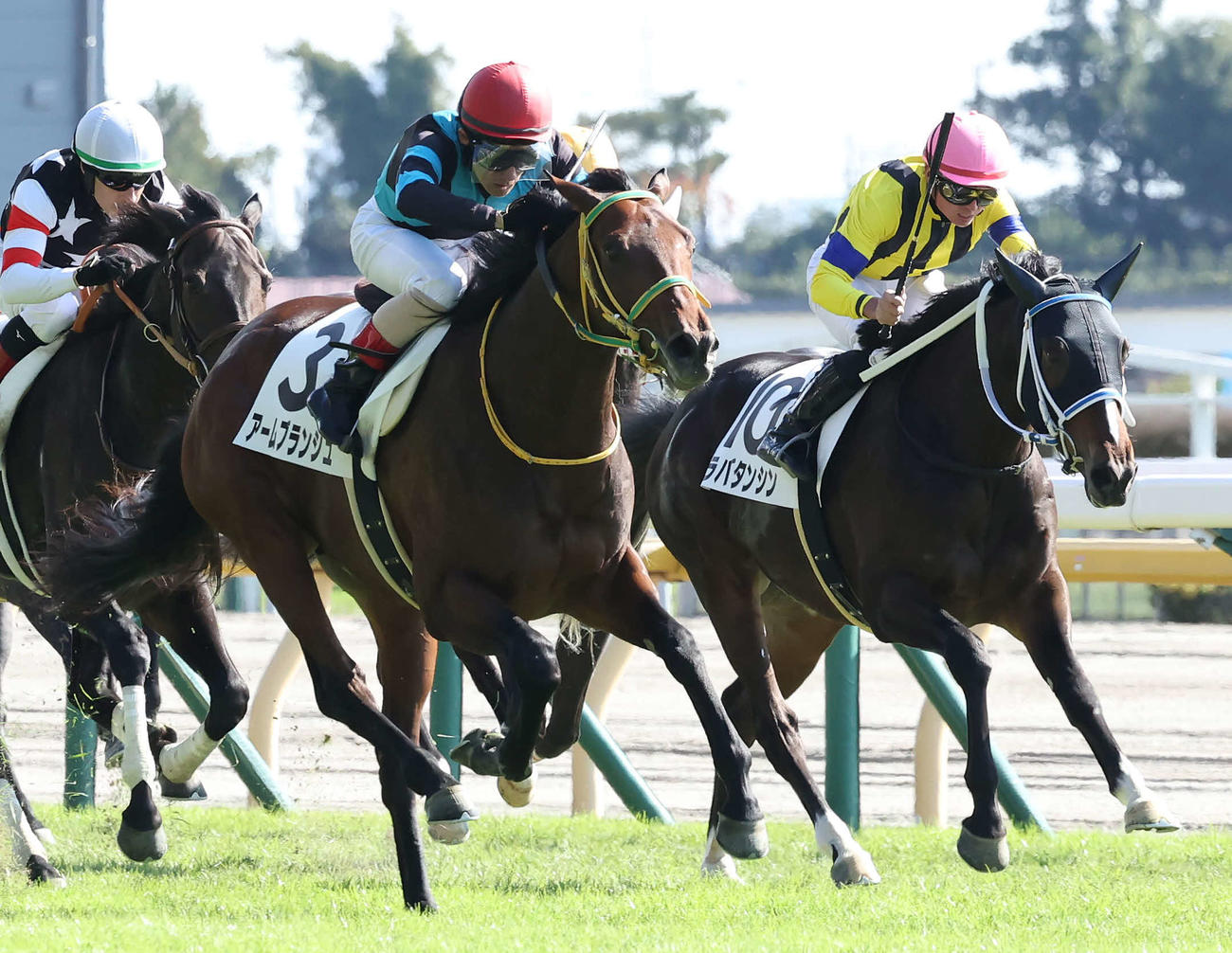東京3R、2歳未勝利戦を制したアームブランシュと吉田豊騎手（前左）（撮影・丹羽敏通）