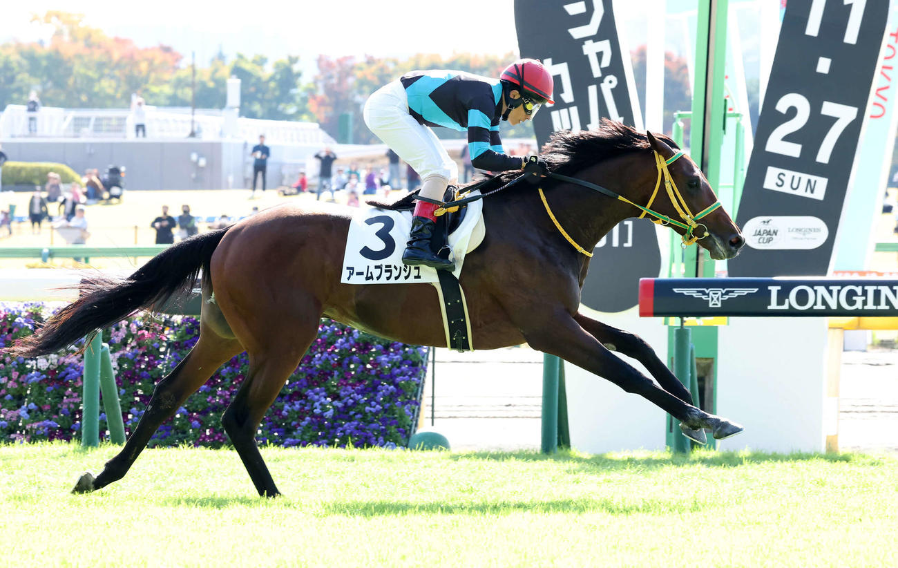 東京3R、2歳未勝利戦を制したアームブランシュと吉田豊騎手（撮影・丹羽敏通）
