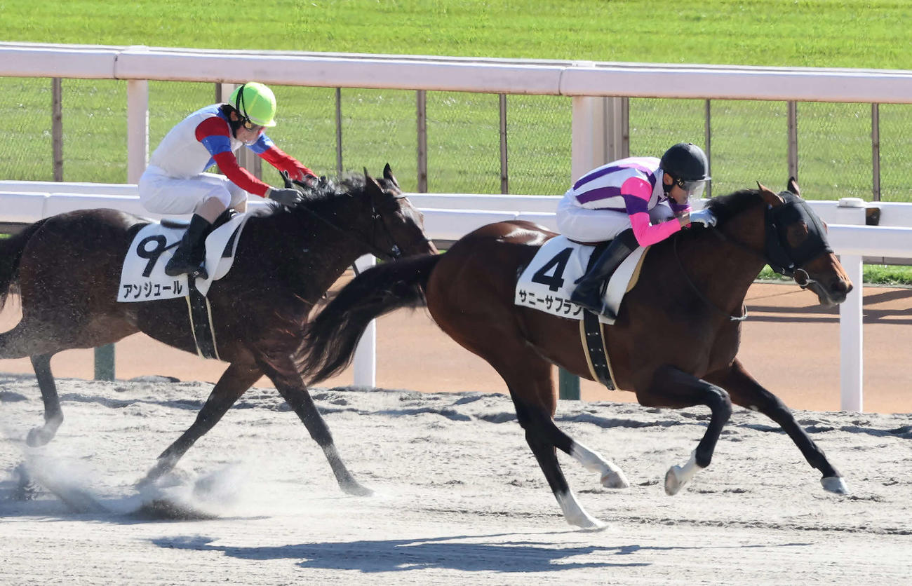 東京4R、2歳新馬戦を制したサニーサフランと坂井騎手（右）（撮影・丹羽敏通）