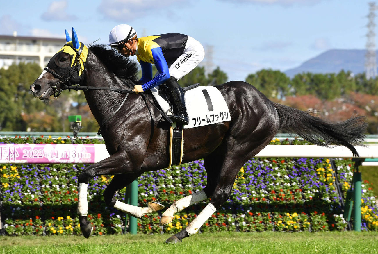 阪神3R、2歳未勝利で1着のフリームファクシと川田将雅騎手（撮影・岩下翔太）