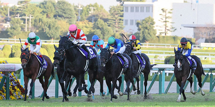 後続を引き離し1着でゴールするアカイイト（左から2頭目・16）＝2021年11月14日、阪神競馬場