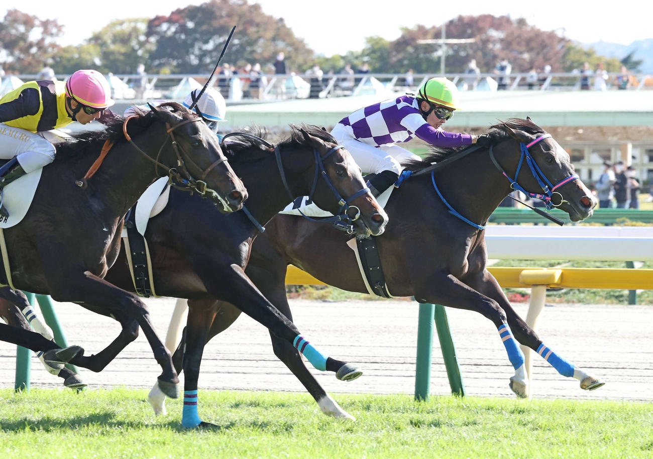 東京6R、2歳新馬戦を制したブルーイングリーンと山田騎手（奥）（撮影・丹羽敏通）