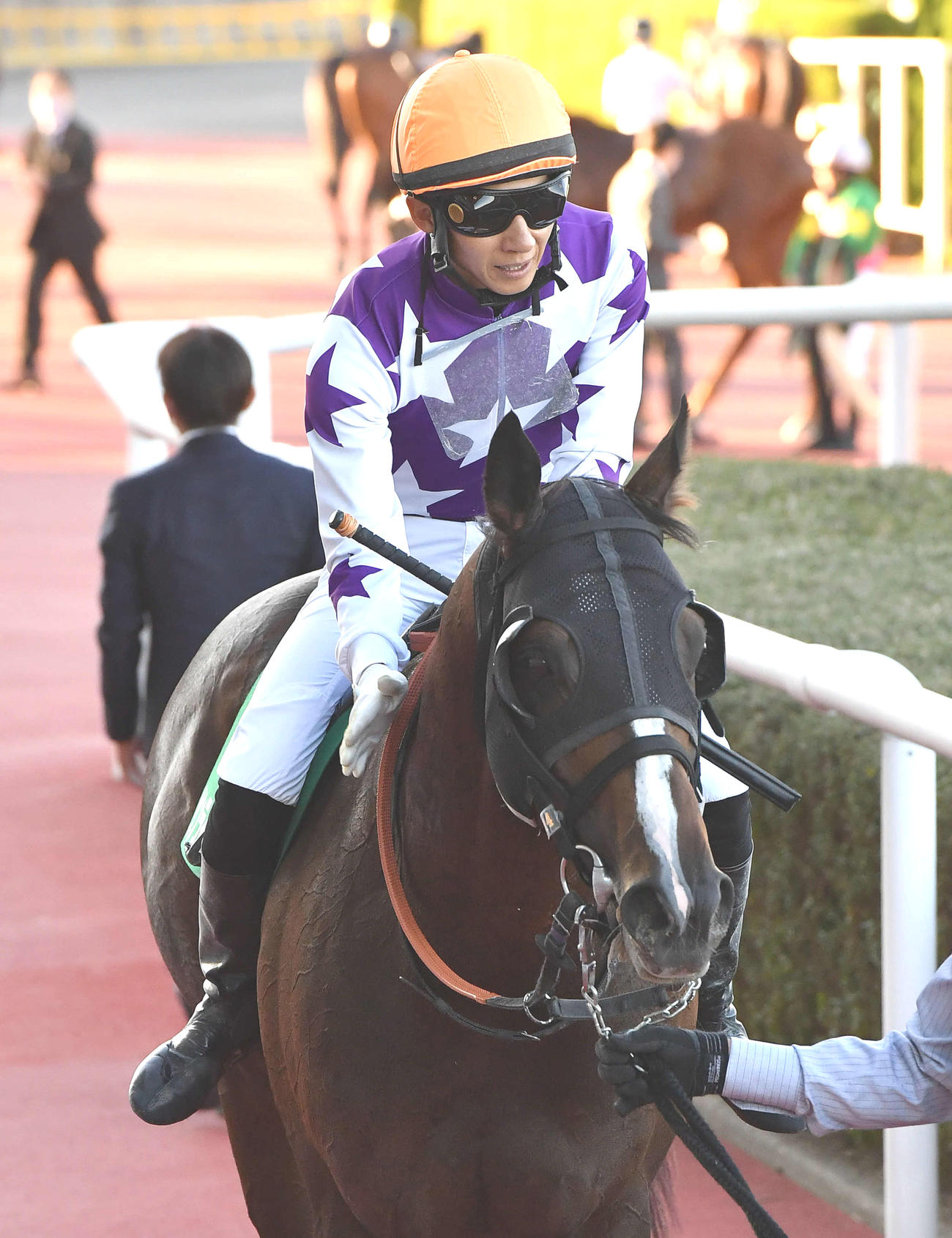 みやこSを制したサンライズホープの首筋をなでてねぎらう幸英明騎手（撮影・岩下翔太）