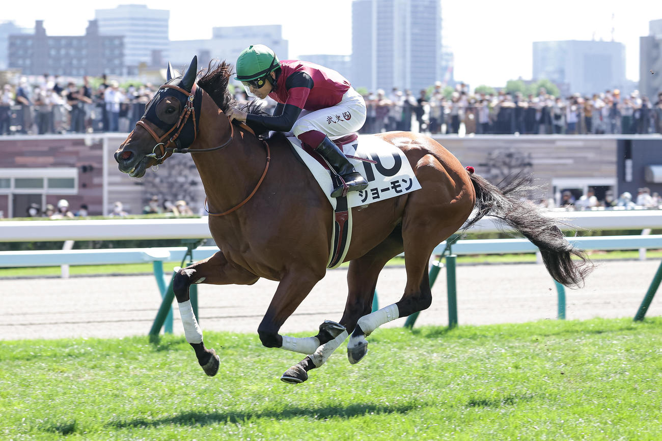 9月4日、2歳未勝利を勝ち上がったショーモン