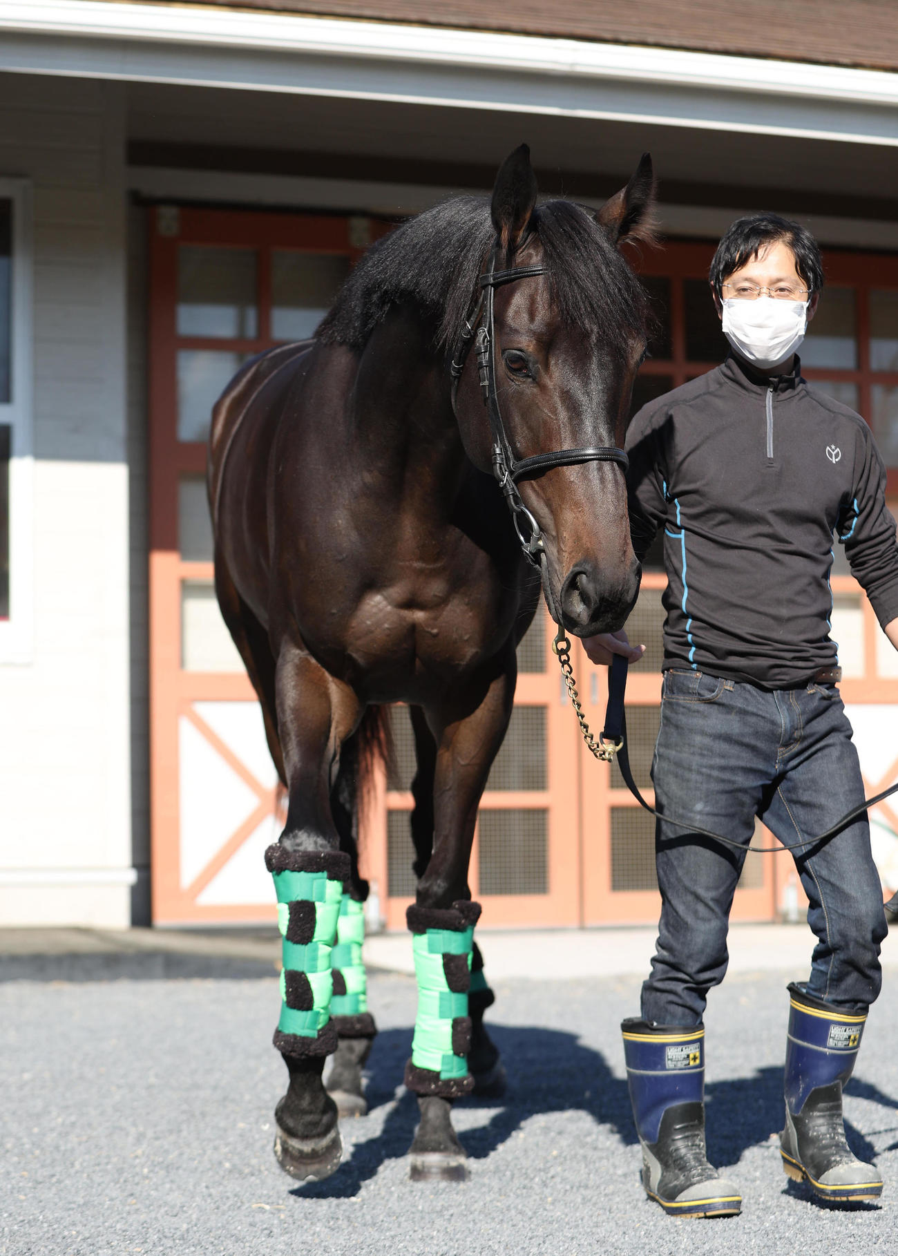 立ち馬撮影を終え馬房へ戻るデアリングタクト（2022年11月3日撮影）