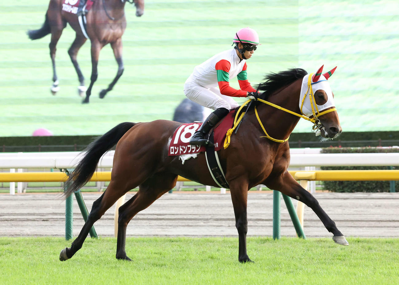 京王杯2歳Sに出走したロンドンプランと松山騎手（2022年11月5日撮影）
