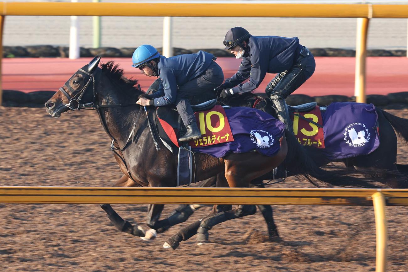 団野騎手が騎乗し（レースはC．デムーロ騎手）、ソフトフルート（右）に先着するジェラルディーナ
