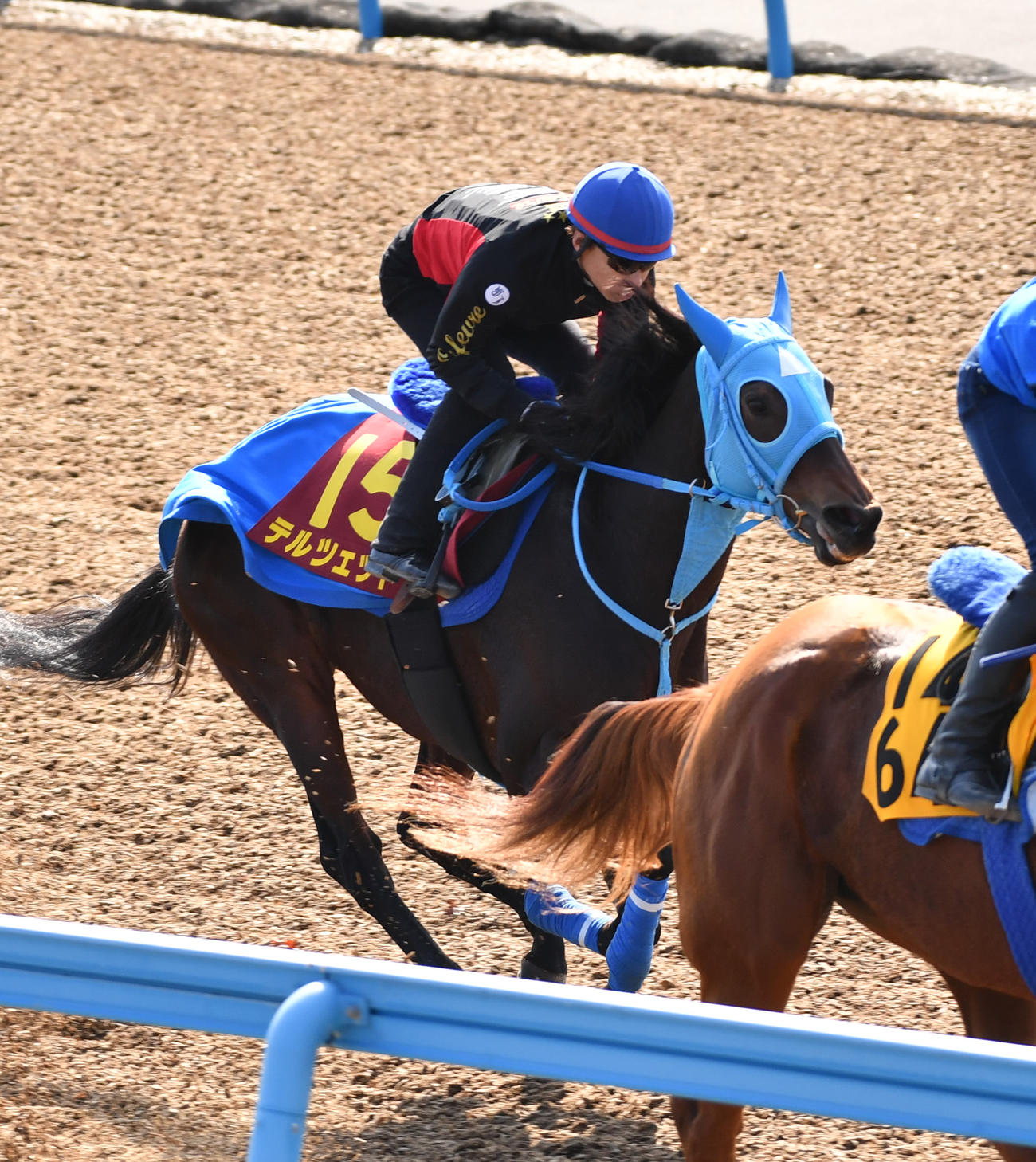池添騎手を背にテルツェットはフエキと併せて追い切る（撮影・柴田隆二）