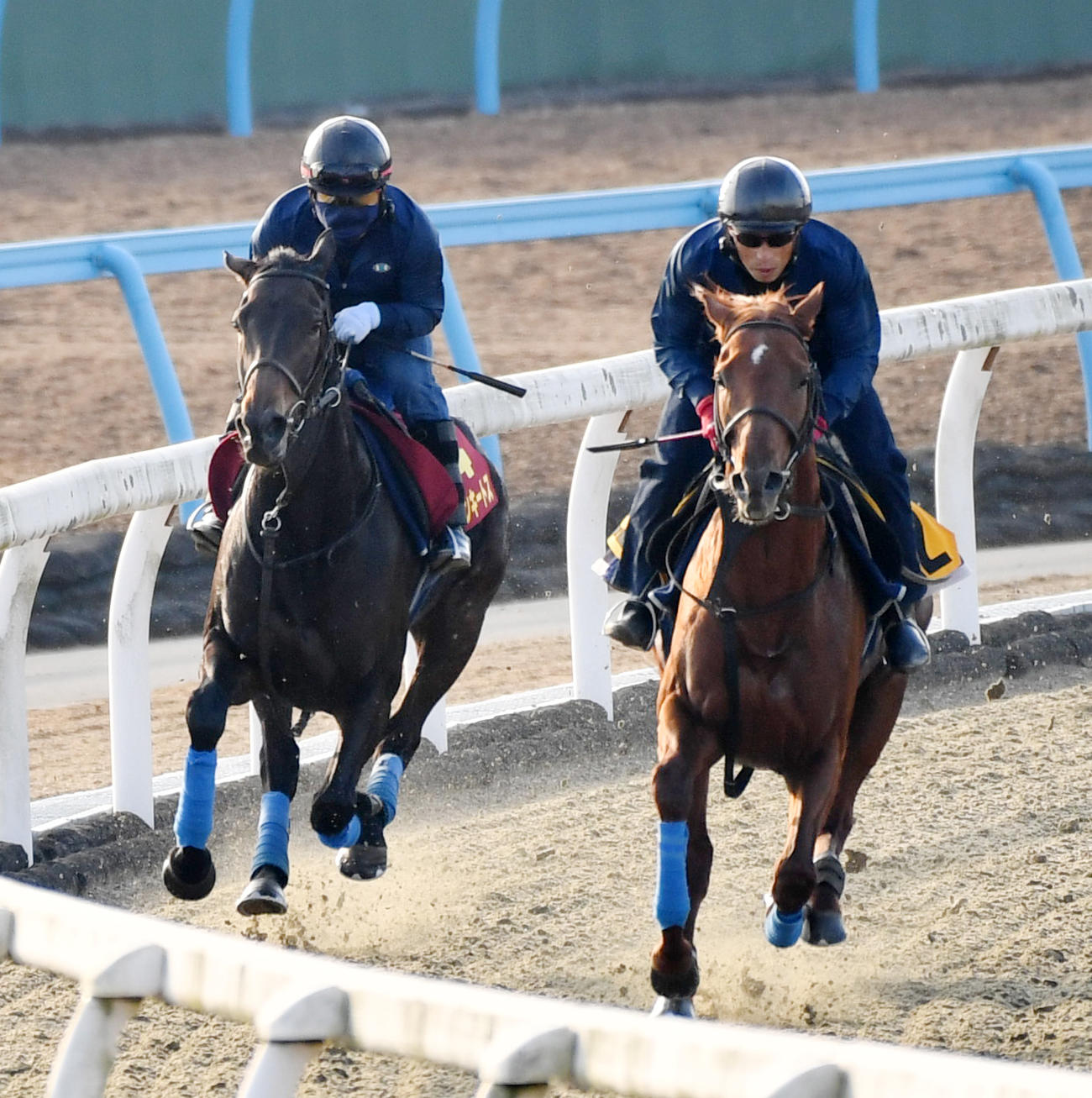 ウインキートス（左）はヤップヤップヤップと併せて追い切る（撮影・柴田隆二）