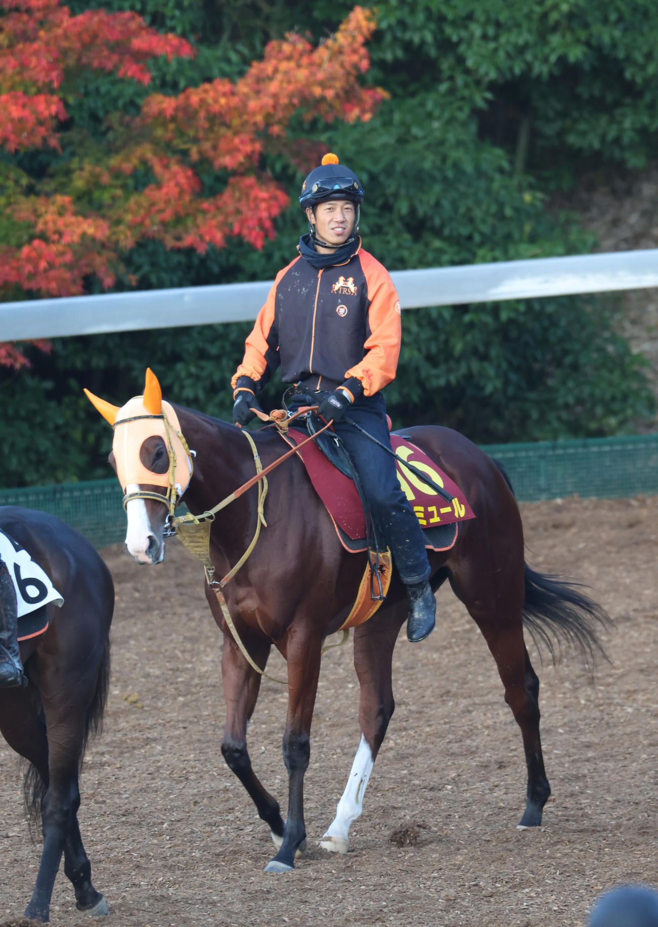 運動するナミュール