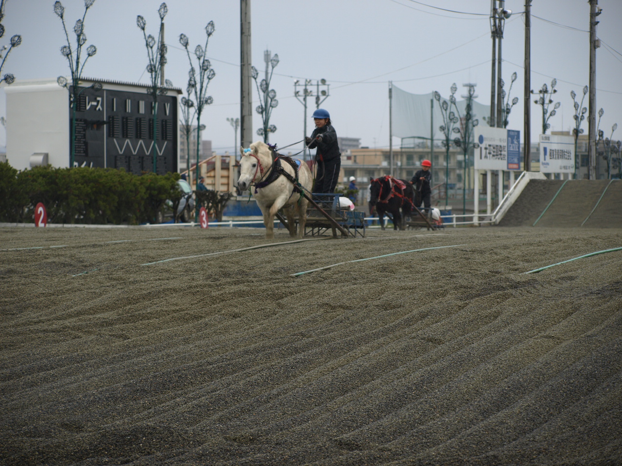 ポニーばんばのレースに騎乗した小学生時代の今井（ばんえい十勝提供）