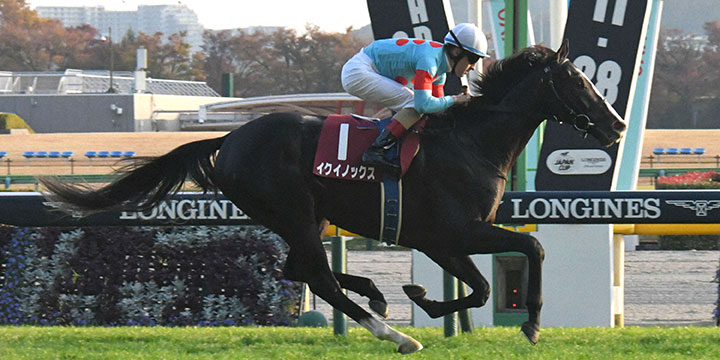 ゴール前抜け出したイクイノックスとC.ルメール騎手が優勝＝2021年11月20日、東京競馬場