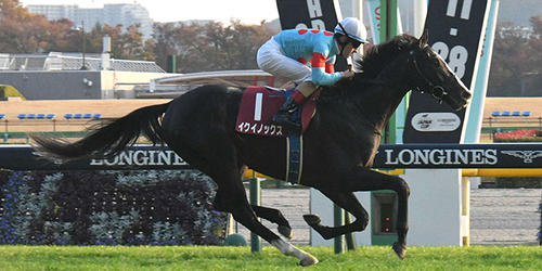 ゴール前抜け出したイクイノックスとC.ルメール騎手が優勝=2021年11月20日、東京競馬場