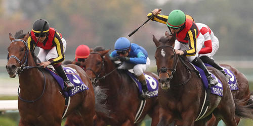 優勝したC.ルメール騎乗のグランアレグリア=2021年11月21日、阪神競馬場