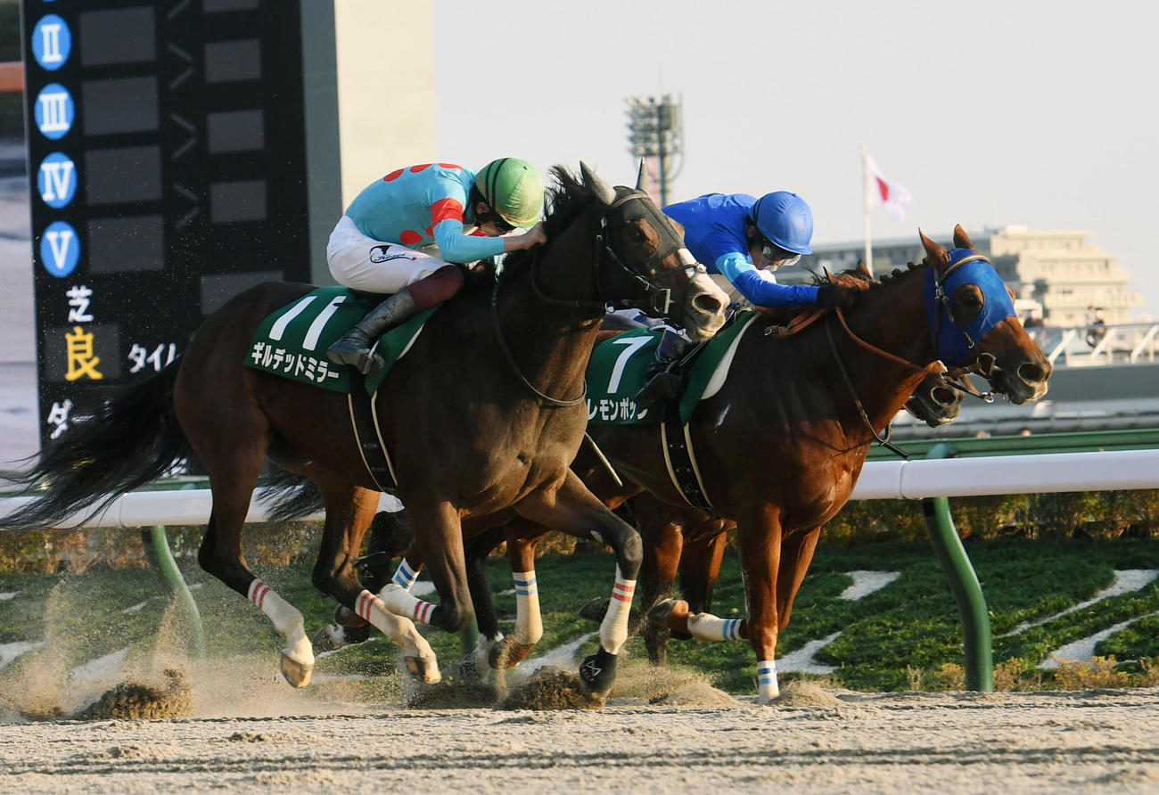 11R、武蔵野Sを制したギルデッドミラー（手前）、2着レモンポップ（撮影・柴田隆二）