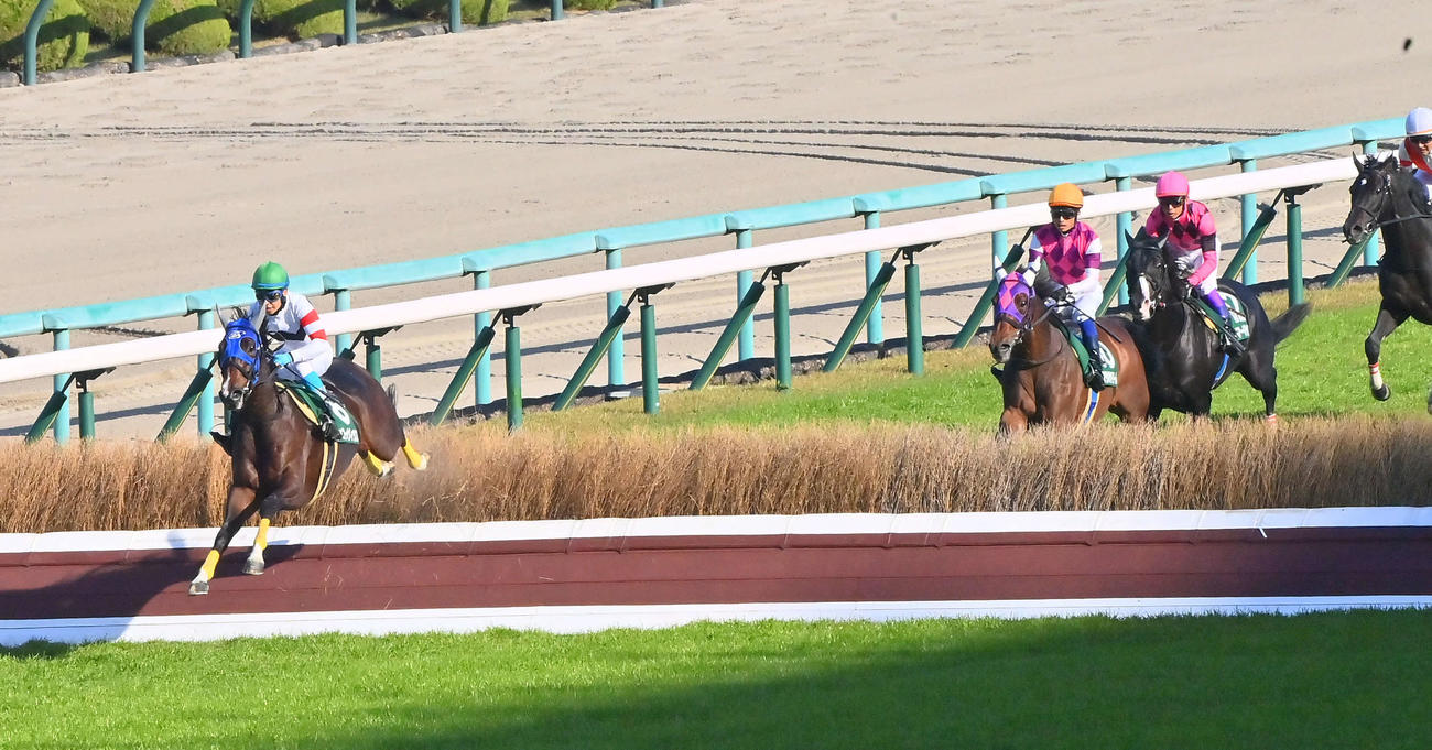 阪神8R、京都ジャンプSで最終障害を飛越するホッコーメヴィウス（左）（撮影・和賀正仁）