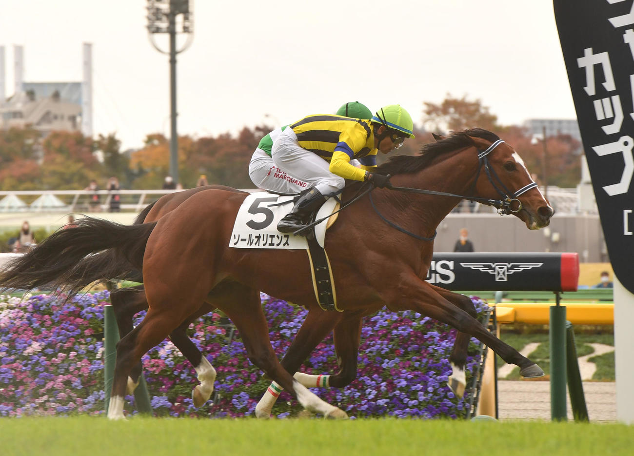 東京競馬5R、新馬戦を制したソールオリエンスと戸崎騎手（撮影・柴田隆二）