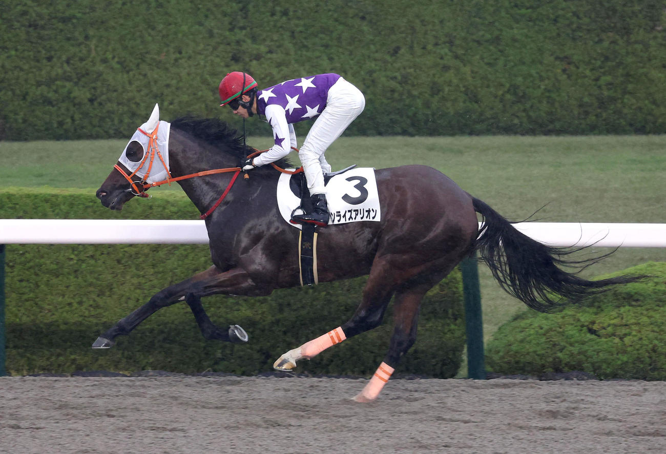 阪神6R、サンライズアリオンでJRA年間100勝を達成した松山騎手（撮影・白石智彦）