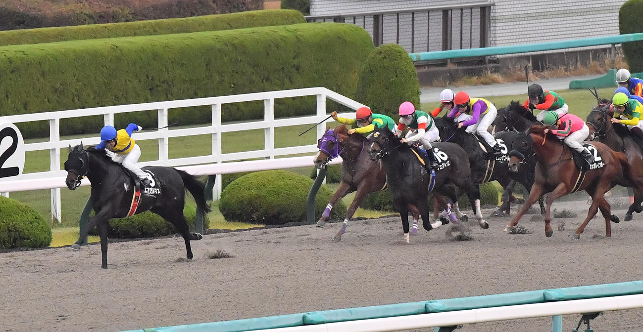 10R、早めに先頭に立ち、そのまま押し切り室町Sを制するエアアルマス（左）（撮影・和賀正仁）