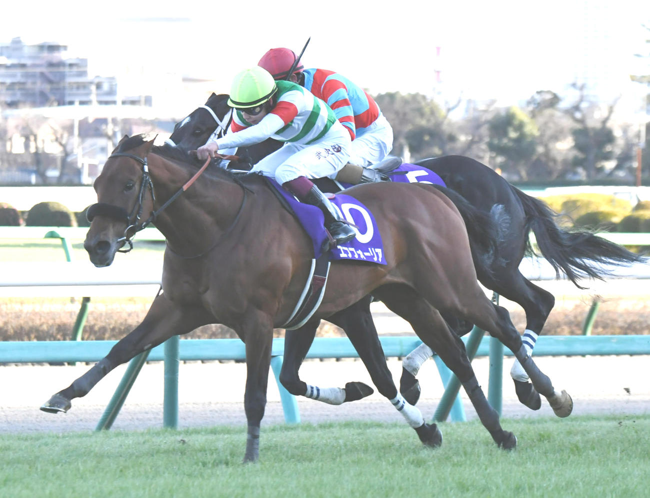 2021年12月26日、有馬記念を制したエフフォーリア