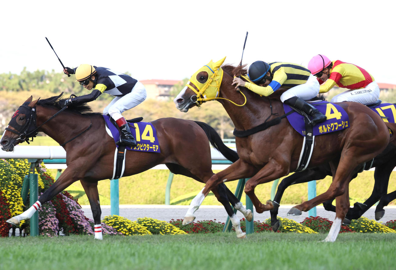 10月23日、菊花賞2着に敗れたボルドグフーシュ（右）。左は勝ったアスクビクターモア