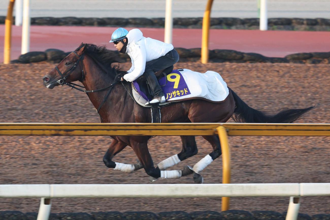 11月9日、CWコースを単走で迫力ある動きを見せたダノンザキッド