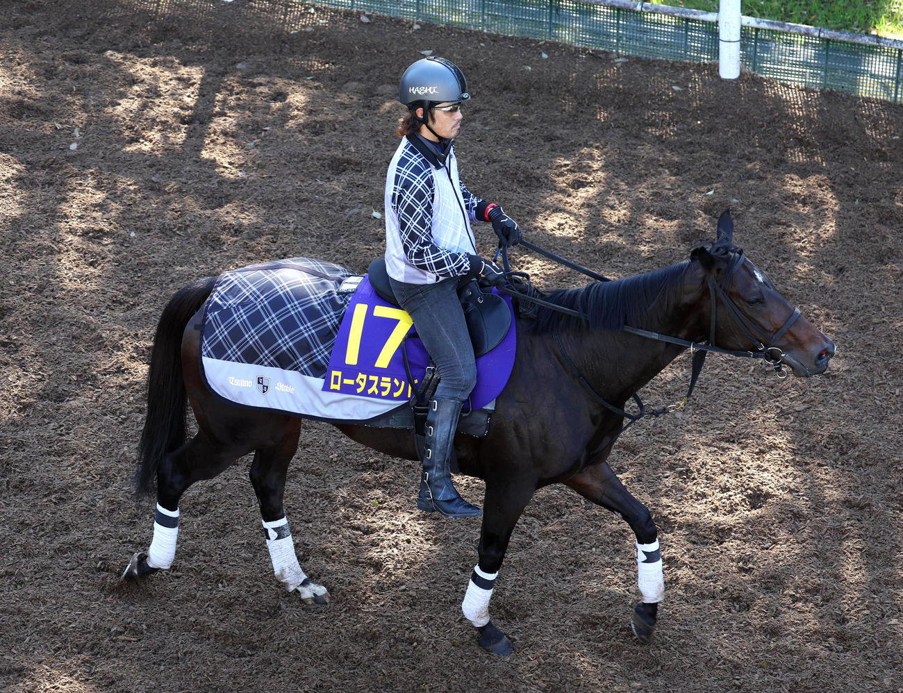 逍遥馬道で運動するロータスランド（撮影・白石智彦）