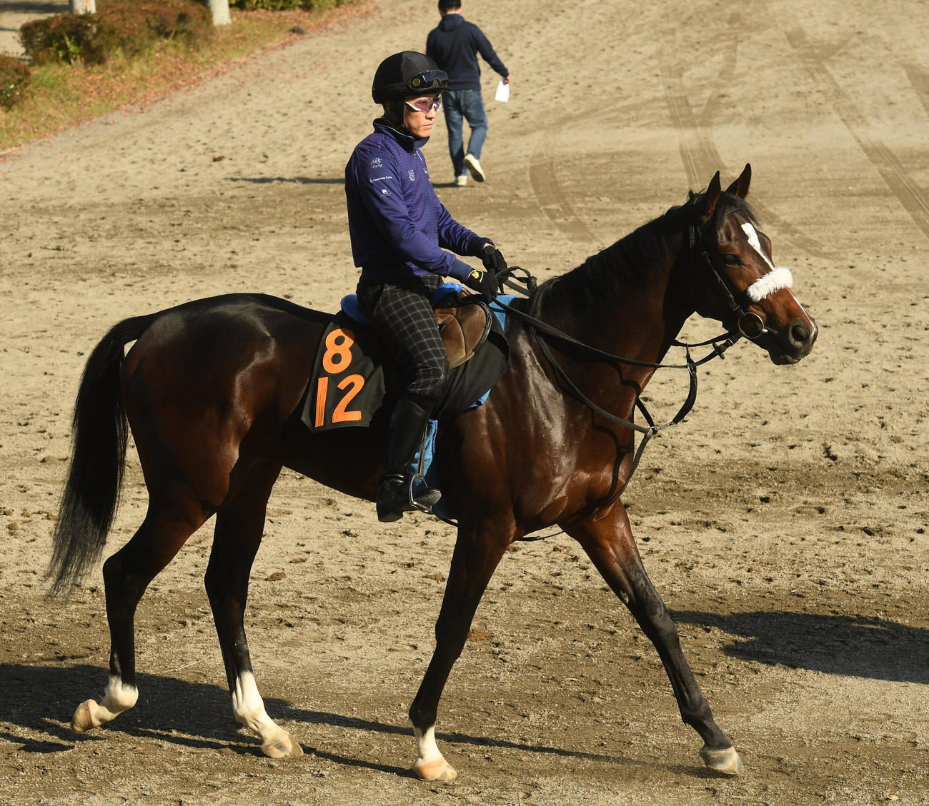 9日、運動するダノンザタイガー