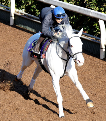 吉田隼騎手を背に坂路を併せ馬で追い切るソダシ（撮影・白石智彦）