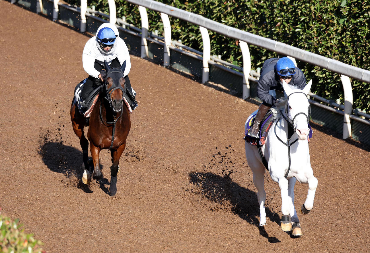 吉田隼騎手を背に坂路をブライトサイン（左）と併せ馬で追い切るソダシ（撮影・白石智彦）