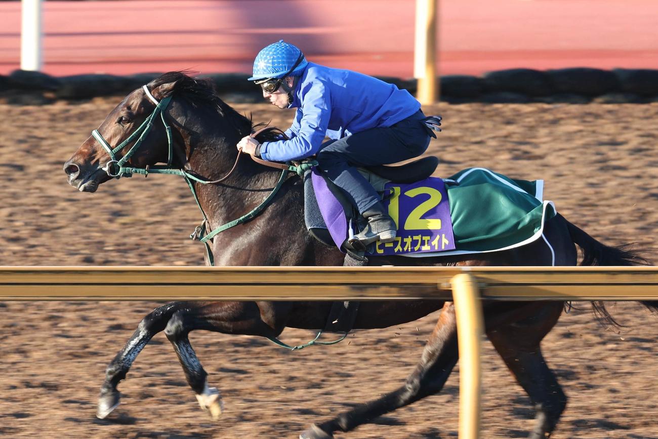 C・デムーロが騎乗し、Cウッドコースで柔軟なフットワークを見せたピースオブエイト

