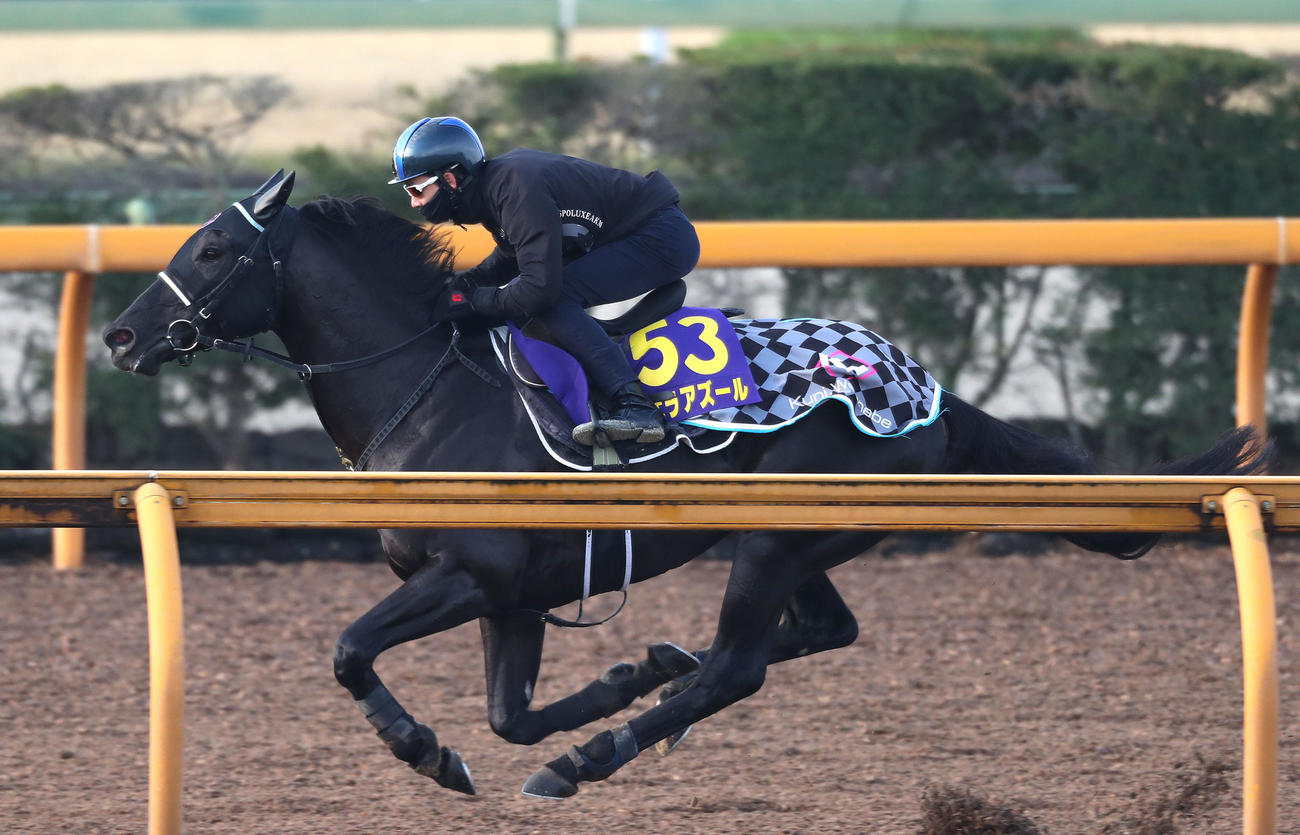 松山騎手を背にCウッドを単走で追い切るヴェラアズール（撮影・白石智彦）