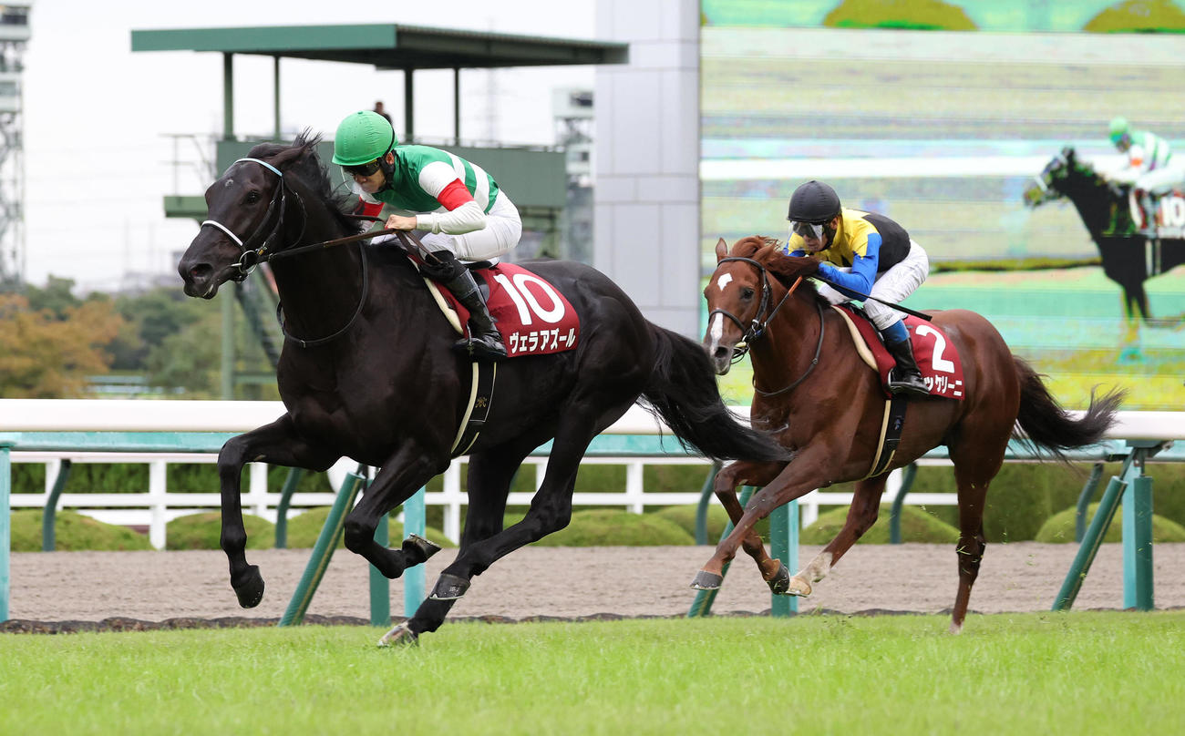 直線鋭く伸びて京都大賞典を制したヴェラアズール（2022年10月10日撮影）