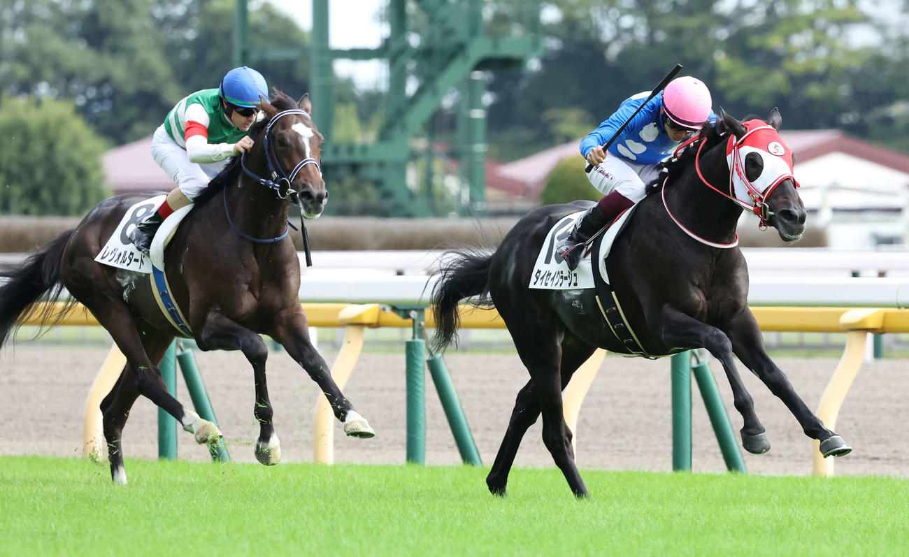 10月8日、新馬戦を快勝したタイセイクラージュ（右）
