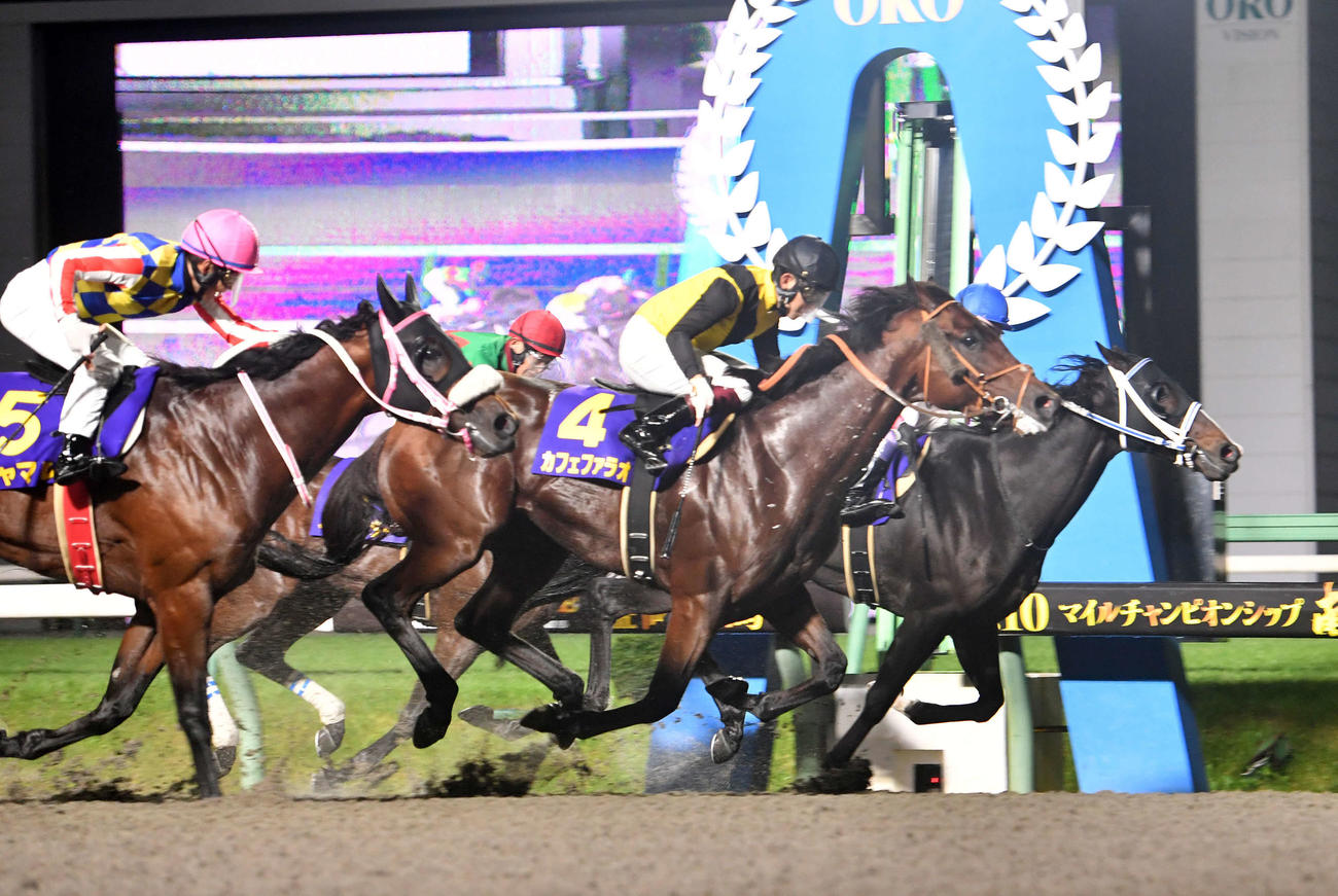 南部杯を制したカフェファラオ（中央）、2着ヘリオス（右）、3着シャマル（2022年10月10日撮影）