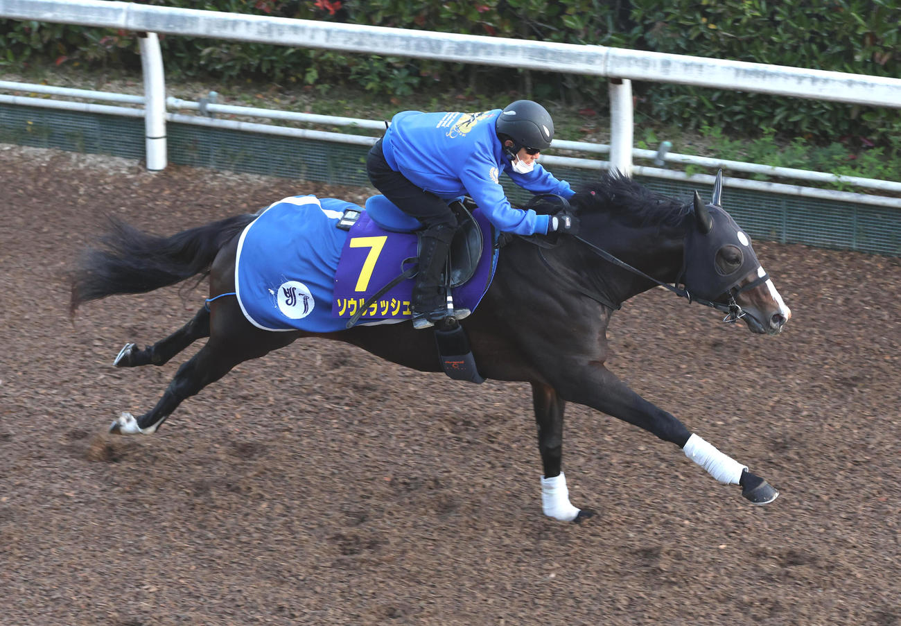 ソウルラッシュ（2022年11月16日撮影）