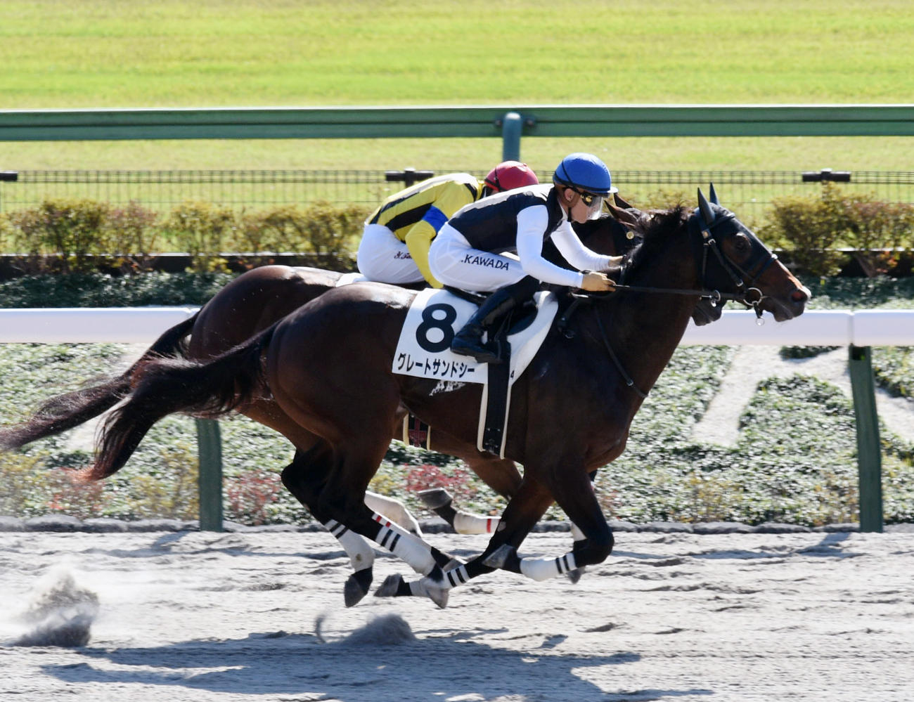 新馬戦を制したグレートサンドシー（手前）（撮影・柴田隆二）