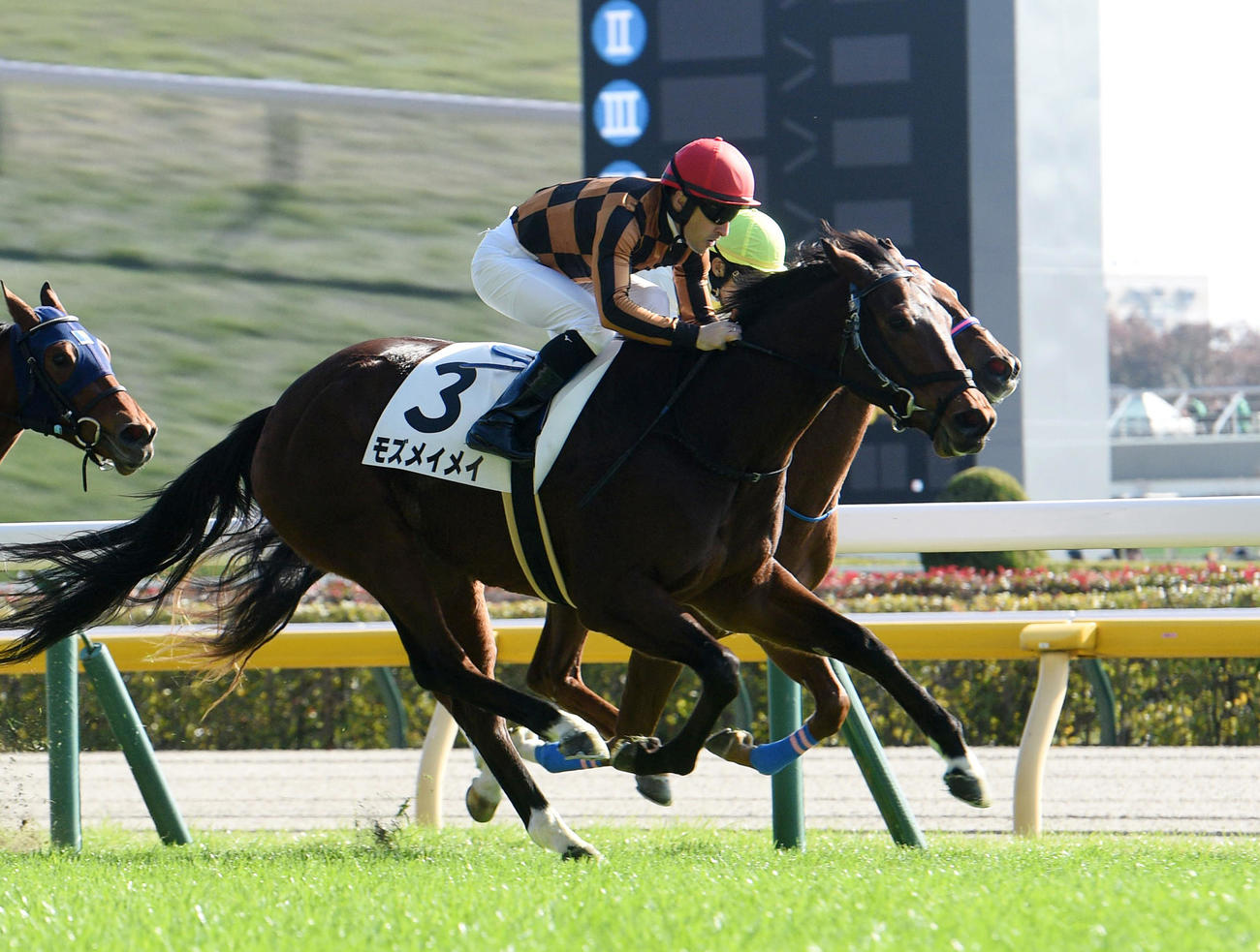 東京5R、新馬戦を制したモズメイメイ（手前）。奥は2着ニシノトレンディー（撮影・柴田隆二）
