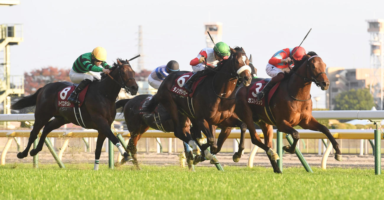 東京スポーツ杯2歳Sを制したガストリック（右）、2着ダノンザタイガー（中央）（撮影・柴田隆二）