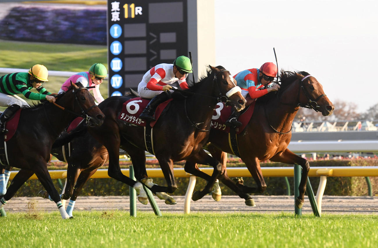 東京スポーツ杯2歳Sを制したガストリック（右）、2着ダノンザタイガー（中央）（撮影・柴田隆二）