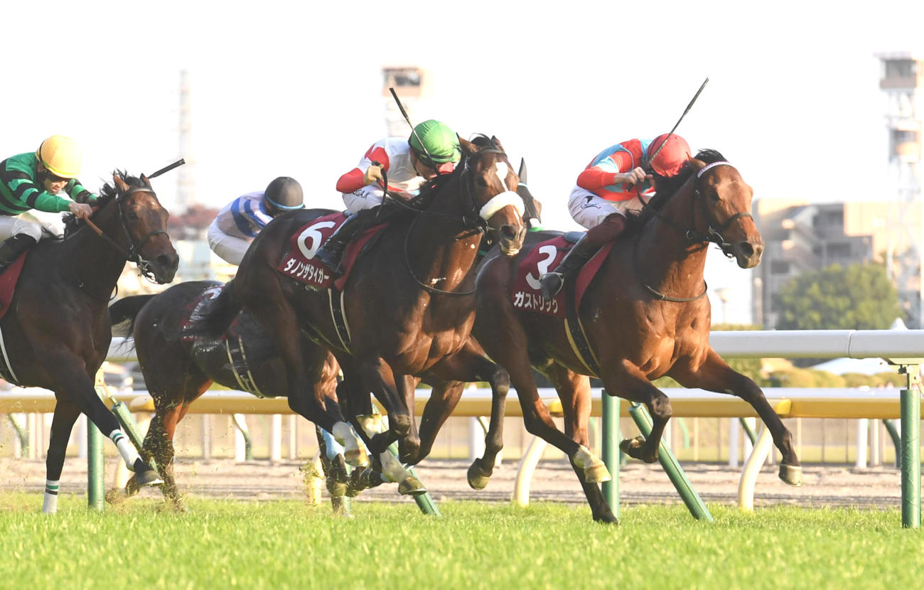 東スポ杯2歳Sを制したガストリックと三浦皇成騎手（右）（撮影・柴田隆二）