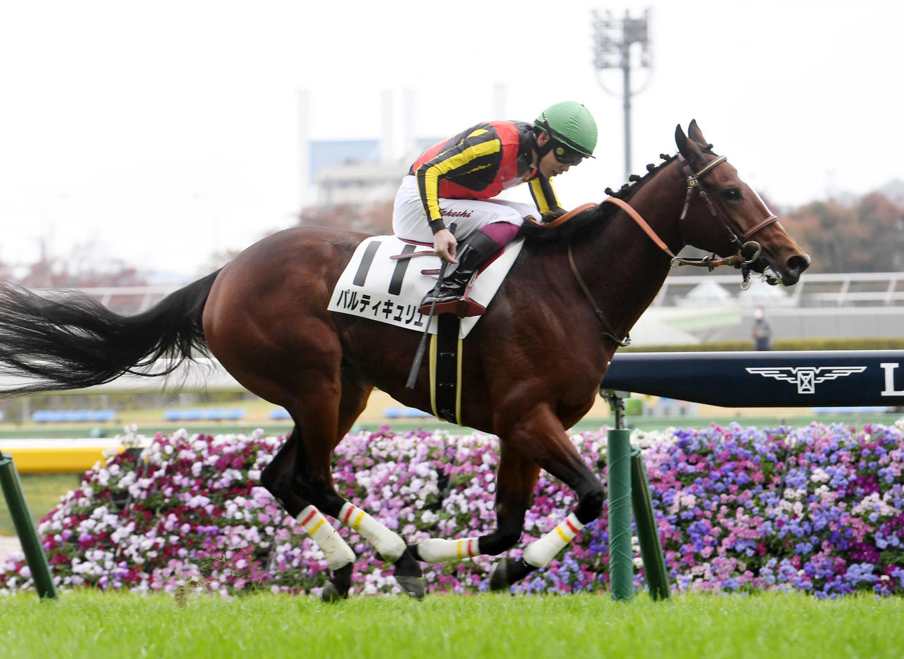 東京2R未勝利戦を制したパルティキュリエと横山武史騎手（撮影・柴田隆二）