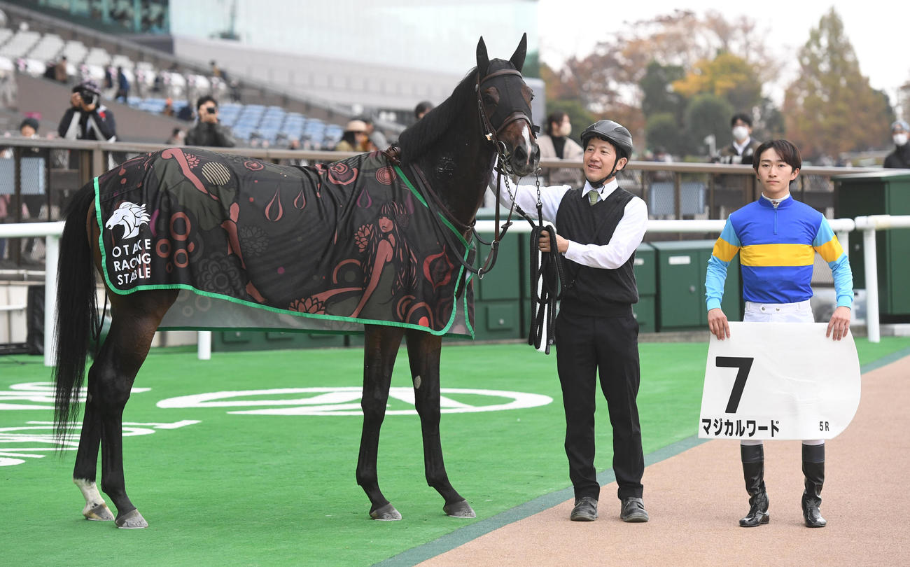 東京5R、新馬戦を制したマジカルワードと菅原明騎手（右）（撮影・柴田隆二）