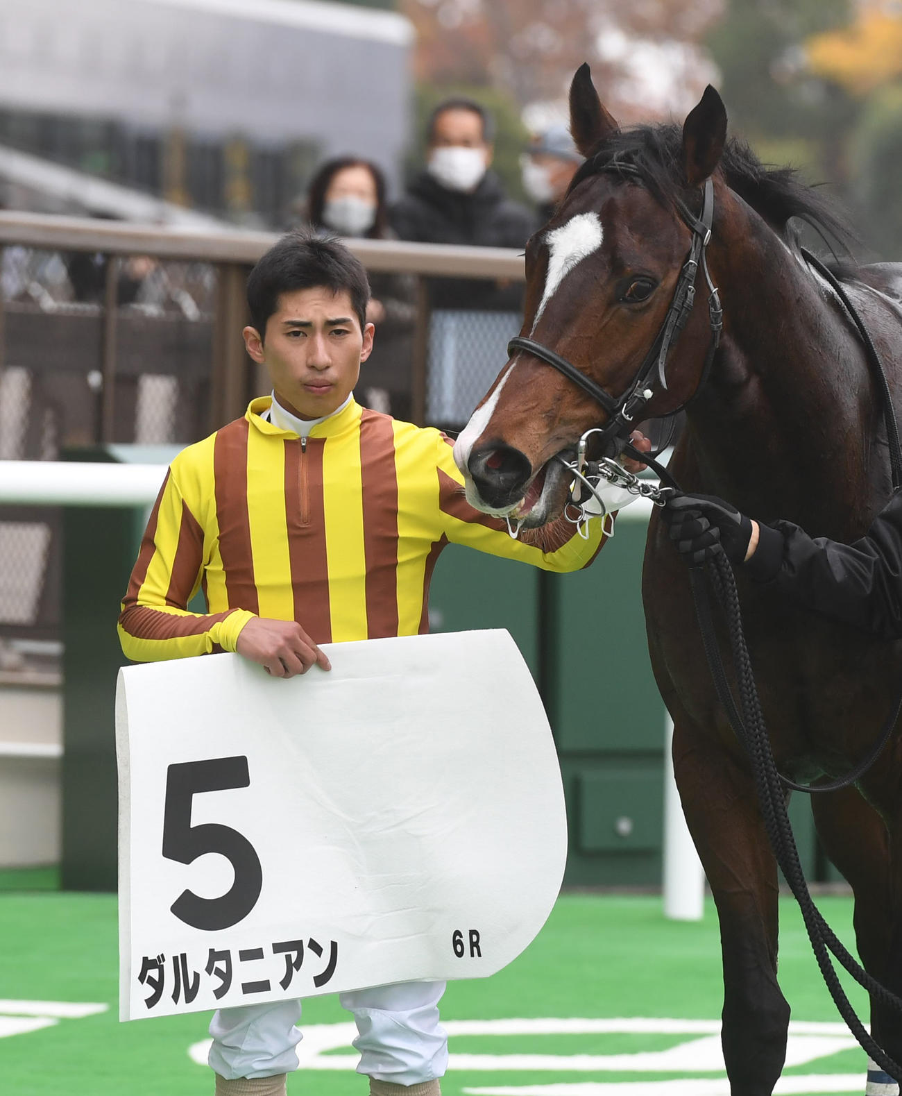 東京6R　新馬戦を制したダルタニアンと木幡巧騎手（撮影・柴田隆二）